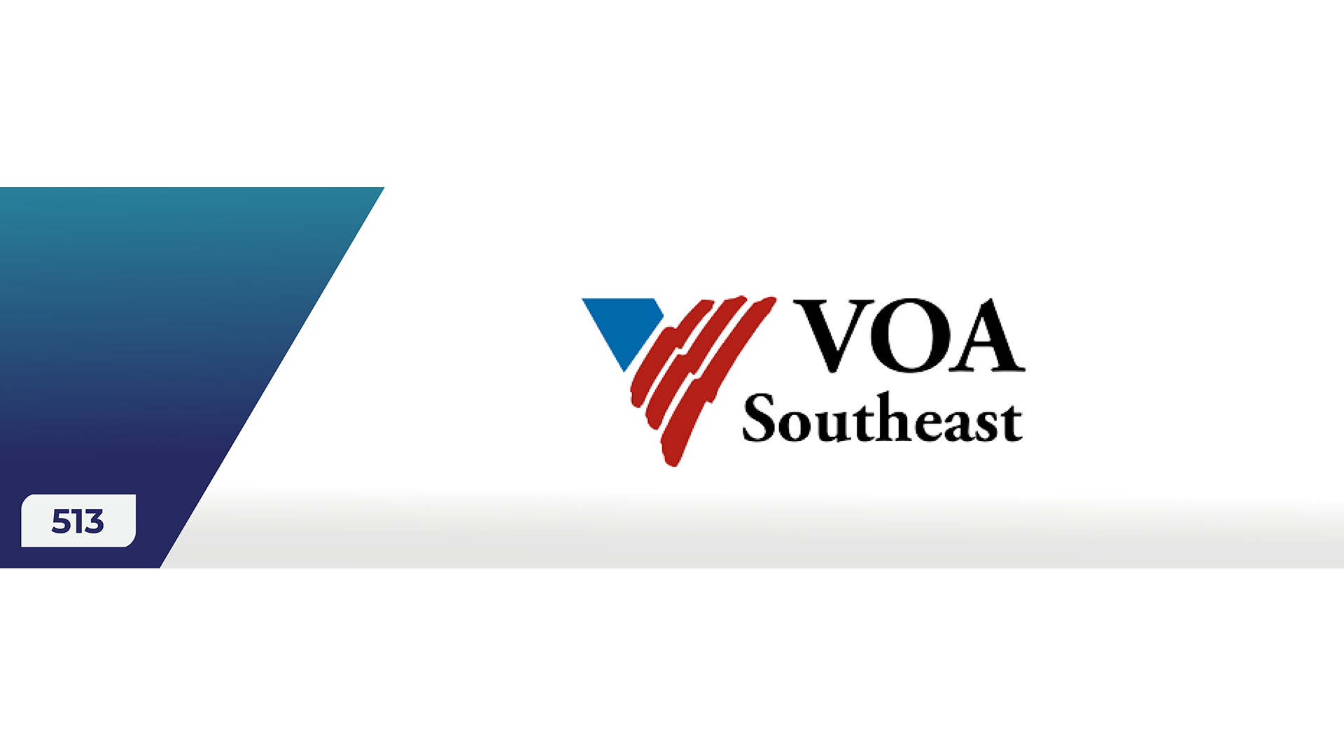 Volunteers Of America Southeast Inc logo