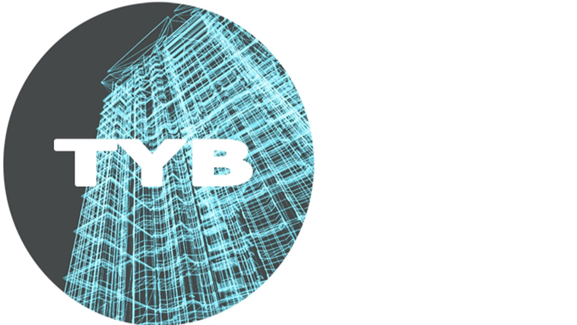 Transforming Your Business logo